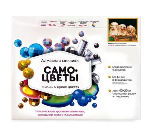 Алмазная мозаика с нанесенной рамкой 40х50 НЕРАЗЛУЧНЫЕ (25 цветов)