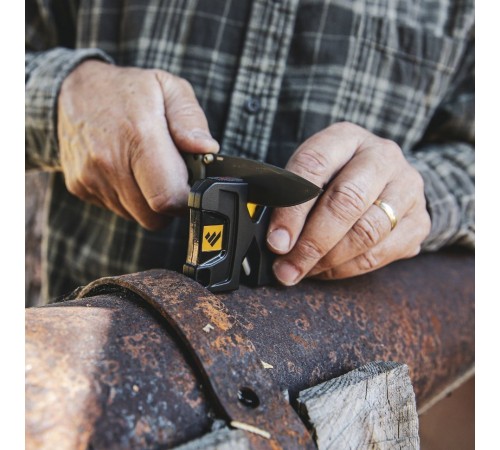 Точилка ручная Work Sharp PIVOT SHARPENER, WSEDCPVT-I
