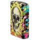 Зажигалка ZIPPO Skull Design с покрытием Glow In The Dark Green,латунь/сталь,разноцветная38x13x57 мм