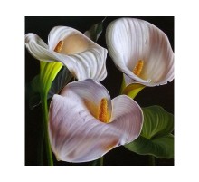 Картина мозаикой 30х30 БЕЛЫЕ КАЛЛЫ (квадрат) (17 цветов)