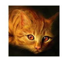 Картина мозаикой 30х30 РЫЖИЙ КОТ (квадрат) (14 цветов)