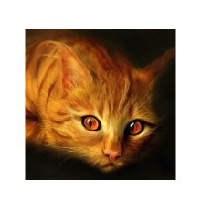 Картина мозаикой 30х30 РЫЖИЙ КОТ (квадрат) (14 цветов)