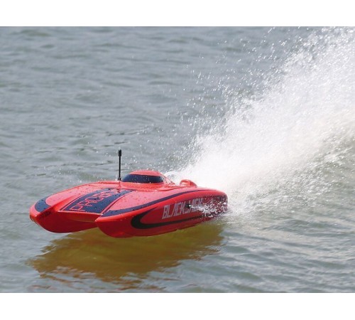 Радиоуправляемый катамаран ProBoat Blackjack 24 Brushless RTR