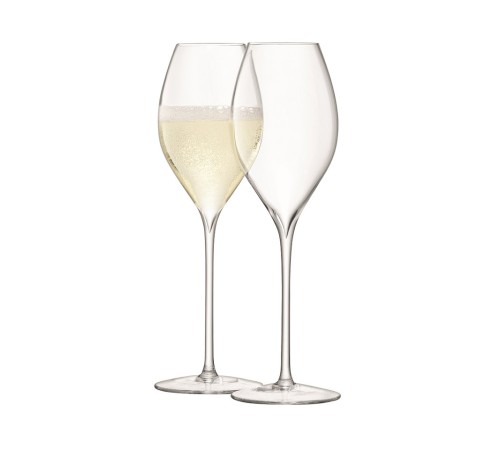 Набор из 2 бокалов для просекко Lsa International Wine, 370 мл