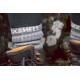 Водонепроницаемые носки Dexshell Terrain Walking серые L (43-46)