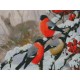 Алмазная мозаика с нанесенной рамкой 40х50 СНЕГИРИ В ЛЕСУ (32 цвета)