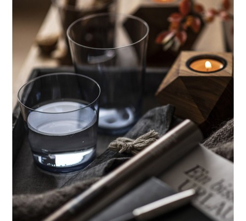 Бокал для воды Schott Zwiesel Taupe Together