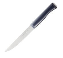 Нож столовый Opinel №220, пластиковая рукоять, нержавеющая сталь, 002220