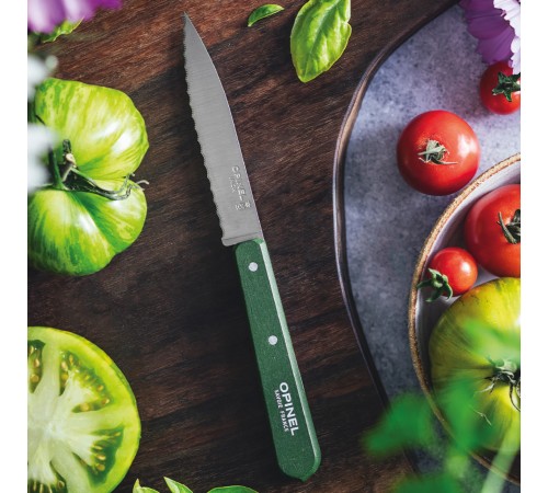Нож столовый Opinel №113, деревянная рукоять, блистер, нержавеющая сталь, темно-зеленый 003122