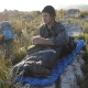 Спальный мешок Naturehike Cicada Wing CW700 CNK2450WS048 утиный пух черный L,6927595788134