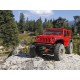 Модель для трофи 1:10 Axial SCX10 II 2017 Wrangler 4WD, электро, RTR (AX90060)