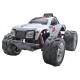 Р/У монстр Feilun Salamander 2WD 4-ch 27/49MHz 1/10 RTR
