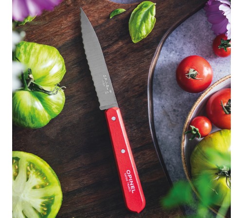 Нож столовый Opinel №113, деревянная рукоять, блистер, нержавеющая сталь, красный 003119