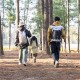 Палка Треккинговая Naturehike ST01 6061 AL NH17D001-Z  с 3 узлами женская 57-120 золотой